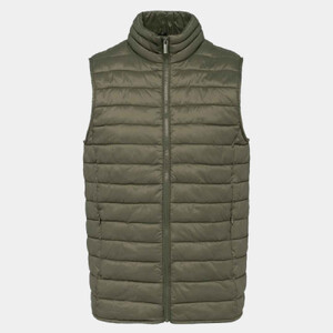 Native Spirit Light Recycled Bodywarmer Thumbnail